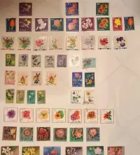 Kolekcja Znaczków Pocztowych PRL – Kwiaty FLORA / Zestaw Walorów — ujęcie 2