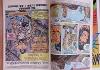 Kolekcjonierski Conan Barbarzyńca 6/93 — ujęcie 5