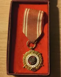 Medal siły zbrojne w służbie ojczyzny 20 lat — ujęcie 2