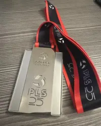 Medal srebrny Plus Liga Mistrzostwa I Ligii w siatkówce M 24/25 — ujęcie 2