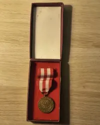 Medal zwycięstwa i wolności 1945 — ujęcie 2
