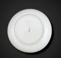 Miseczka porcelanowa dziecięca z motywem słonia Arzberg b6/02172 — ujęcie 4