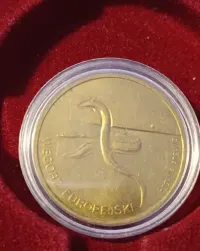 Monety okolicznościowe różne roczniki — ujęcie 2