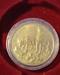 Monety okolicznościowe różne roczniki — ujęcie 3