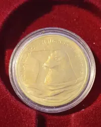 Monety okolicznościowe różne roczniki — ujęcie 4