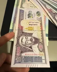 Mongolskie banknoty — ujęcie 4