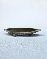Muszla platerowana paterka na nóżkach — ujęcie 2