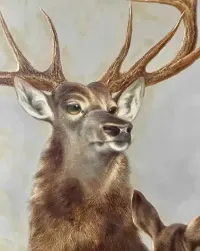 Obraz myśliwski Jeleń szlachetny 1873r. MUZEUM — ujęcie 2