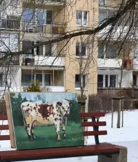 Obraz olejny krowa 100x70 — ujęcie 5