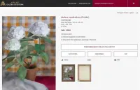 obraz olejny, Kwiaty, Hortensje w wazonie, Szkoła wileńska — ujęcie 3