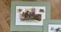 Oryginalne Litografie 1860 r, Albert Adam. Ręcznie Kolorowane. Paryż — ujęcie 2