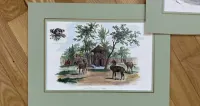 Oryginalne Litografie 1860 r, Albert Adam. Ręcznie Kolorowane. Paryż — ujęcie 4