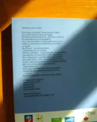 Pan Gabe poszukiwacz form i kształtów Tadeusz Szklarski — ujęcie 2