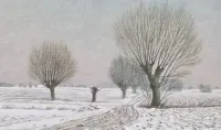 Piekna, stara akwarela, obraz — ujęcie 5