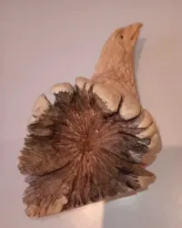 Piekne rzezby,wykonane przez amerykanskch Indian HOPI — ujęcie 4