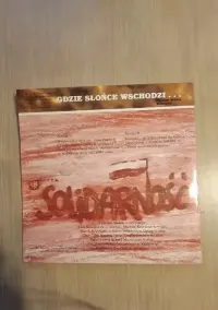 Plyta kolekcjonerska  Jan Paweł II -Solidarność- Lech Wałęsa. — ujęcie 2