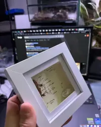 Preparat biologiczny art ozdoba dekoracja 3d gekon orzęsiony prezent dinozaur nowa kaledionia ramka obraz zawieszka gablotka gablota — ujęcie 4