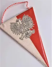 Proporczyk Wodzisław Śląski Herb Polska flaga Orzeł bez korony — ujęcie 4