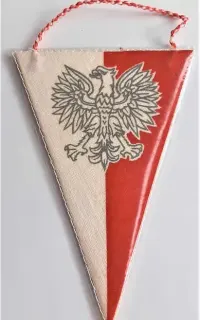 Proporczyk Wodzisław Śląski Herb Polska flaga Orzeł bez korony — ujęcie 5