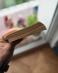 Raz w roku w Skiroławkach - Zbigniew Nienacki — ujęcie 4