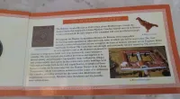 Reprodukcja monet rzymskich — ujęcie 3