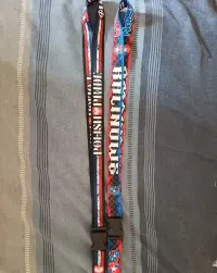Smyczki Wisła Kraków — ujęcie 2