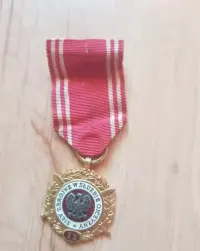 Sprzedam złoty medal Sily zbrojne w służbie ojczyzny XX — ujęcie 3