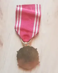 Sprzedam złoty medal Sily zbrojne w służbie ojczyzny XX — ujęcie 4