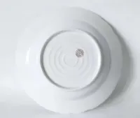 Talerz głęboki Carlsbad XIX wiek porcelana AK Carlsbad malowany — ujęcie 3