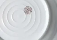 Talerz głęboki Carlsbad XIX wiek porcelana AK Carlsbad malowany — ujęcie 4