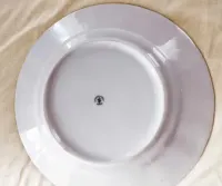 Talerz porcelana czeska — ujęcie 2