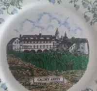 Talerzyk kolekcjonerski talerz biały zielony krajobraz Caldey Abbey — ujęcie 3