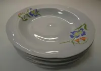 Włocławek Porcelana  NOWE ! talerz głęboki 10zł./szt. — ujęcie 3