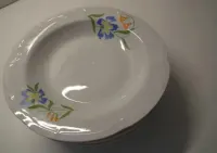 Włocławek Porcelana  NOWE ! talerz głęboki 10zł./szt. — ujęcie 4