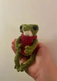 Żabka w sukience – ręcznie robiona maskotka handmade — ujęcie 4