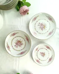 Zastawa stołowa obiadowa na 10 osób z niemieckiej porcelany — ujęcie 3