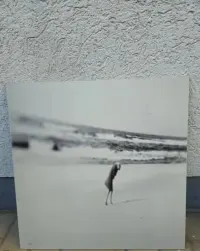 Zdjęcia artystyczne czarno białe,  dibond, fotografia — ujęcie 2