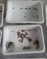 Zestaw części zamiennych do mechanicznych zegarków — ujęcie 3
