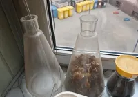 Kolby chemiczne szklane wysokie do laboratorium dekoracyjne laboratoryjne kolba Poznań Stare Miasto — ujęcie 2
