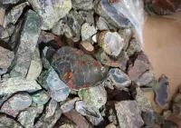 Agaty i chalcedony Płóczki Górne — ujęcie 3