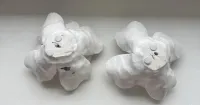 Porcelanowe białe róże — ujęcie 2