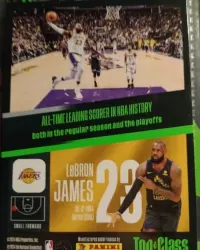 Karta panini NBA LeBron James — ujęcie 2