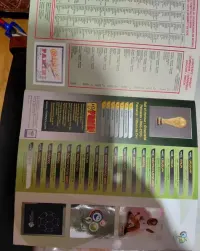 Panini kompletny album z Mistrzostw Świata i Euro — ujęcie 2
