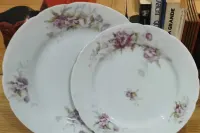 Zestaw talerzy limoges, Francuskie talerze zabytkowe. — ujęcie 3