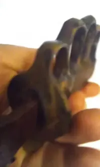 Amerykański nóż okopowy „Trench Knife” – mosiężna rękojeść | I wojna światowa — ujęcie 5