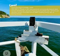 Driftwood | FRIDA z gumą balonową, obraz na desce z podłogi MOLO w Orłowie | LUKI SZTUKI — ujęcie 4