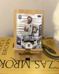 Karty Panini 365 Momentum Salah, Golden Ballers, Limited Edition, bazówki i fans favourite — ujęcie 3