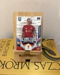 Karty Panini 365 Momentum Salah, Golden Ballers, Limited Edition, bazówki i fans favourite — ujęcie 5