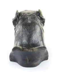 Mastif neapolitański duża głowa z żywicy Art-Dog — ujęcie 5