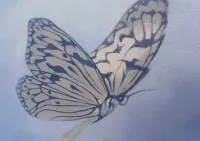 Obraz Olejny Motyl 110 x 90 — ujęcie 4